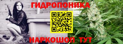 Альфа ПВП Лесосибирск
