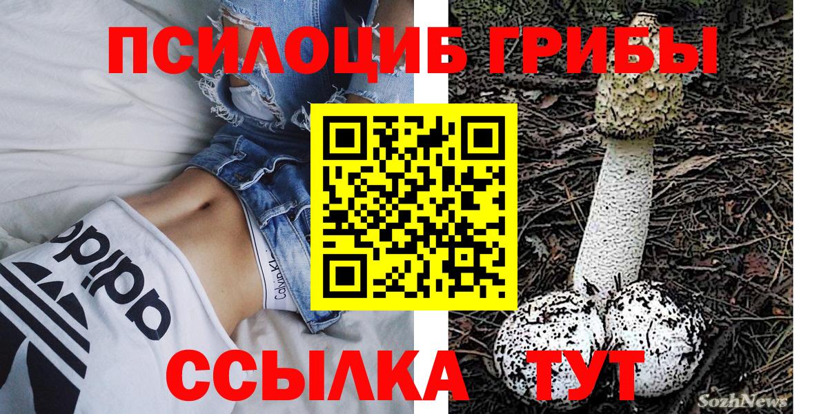 Псилоцибиновые грибы Psilocybe Уварово